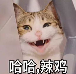 猫狗在手,天下我有