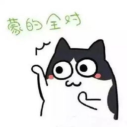 今年吴忠市共有11556名学生参加高考,其中,文科4200人,理科7356人