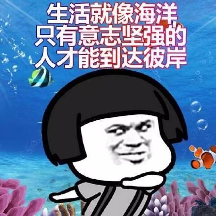 百年好合表情包锦绣前程