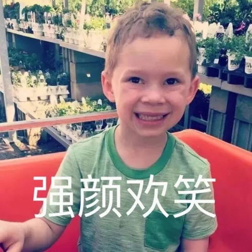 省内都下雪了,除了威海除了威海