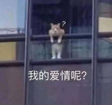 来一份可可爱爱的表情包吧2021.09.04