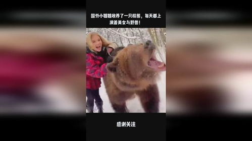 国外小姐姐收养了一只棕熊,每天都上演着美女与野兽