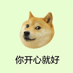 当嗑cp变成一种生产力什么你不知道博君一肖