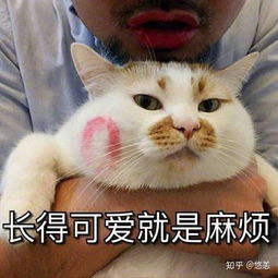 张针眼麦粒肿是一种什么样的体验
