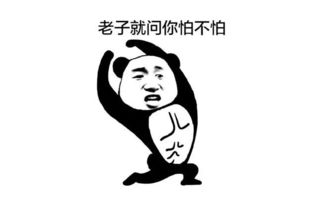 小趴菜认证表情包阿根廷