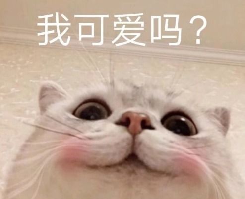 我的世界还在吃瓜9年老mc玩家表示这些人气mod超好玩