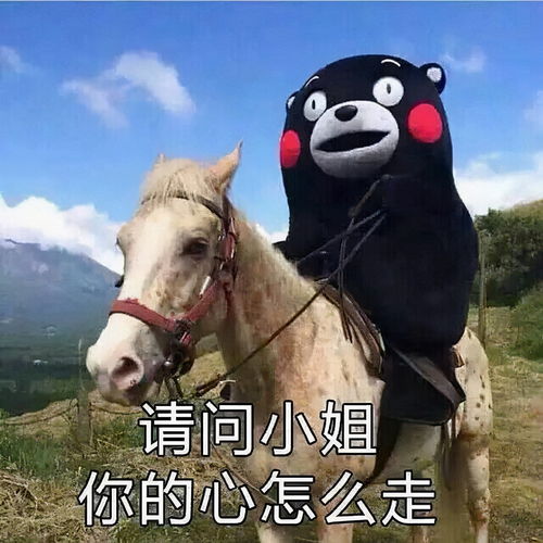 黄皮耗子表情包皮神