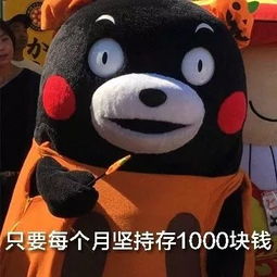 梁平人,到底要不要买房知道真相的我眼泪掉下来..