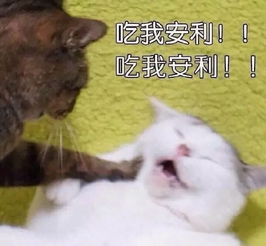 传授你一个男生见到都喜欢的妆容