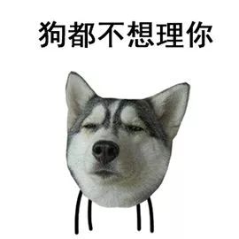 你家狗狗够不够健康,只要看这10点就知道啦