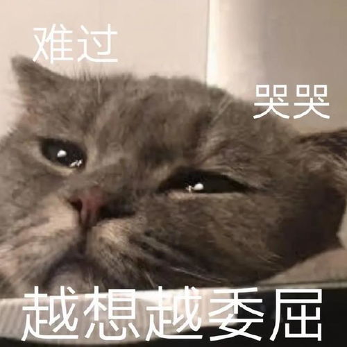 表情包动图你再说一遍
