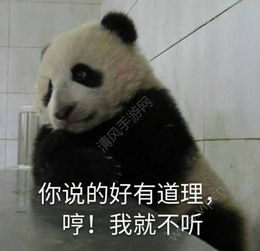 熊猫滚滚表情包下载熊猫滚滚表情包图片v1.0下载清风安卓软件网