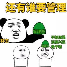 不能错过精选表情包系列尬聊必备