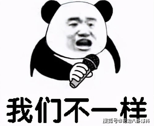 迪丽热巴和黄景瑜恋情曝光那么多的实锤,他们到底在一起了吗