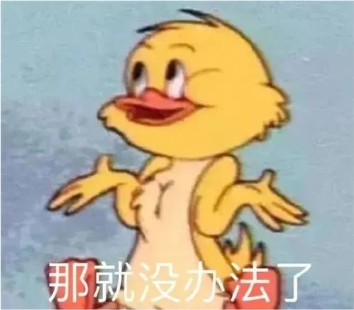 这几个迹象,说明你没把孩子养偏,小学后优势会逐渐凸显