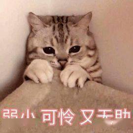 尽快全面开放三胎专家紧急呼吁,石家庄人我更想......