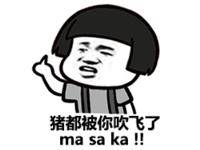 100个搞笑又好玩的表情包