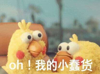 动图如何做成表情包鹦鹉兄弟