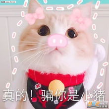 你很迷人但我得回家图片你都有对象了还找我玩表情包下载乐游网游戏下载