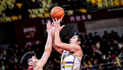 17分大胜,浙江掀翻北控队闵鹿蕾走上马布里老路,季后赛又悬了
