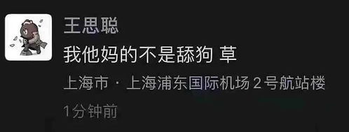 王思聪孙一宁表情包大合集