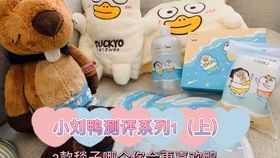 表情包小刘鸭的周边开箱理性种草手账开箱表情包小刘鸭
