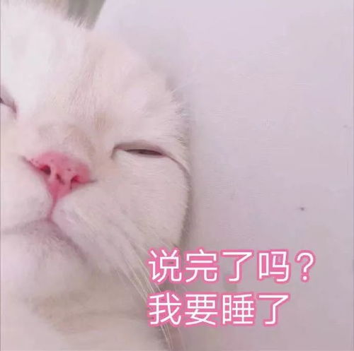 0103热门表情包爱不爱我你自己说
