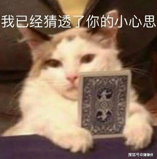 搞笑表情包图片妹妹,我有话和你说,把耳朵凑过来