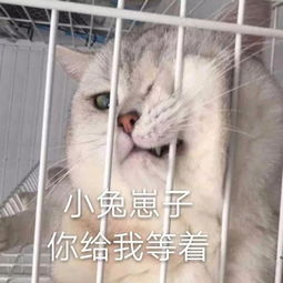 不开心表情包搞笑图片开心笑话