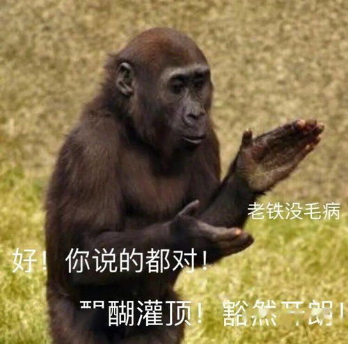 今日表情推荐,72