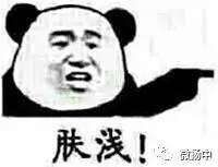 河豚又火了这一次它被海豚撞上,网友们笑到不能自持,小编喊你来收表情包