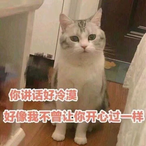 沙雕表情包合集照目前这个形式来看,我应该是失宠了
