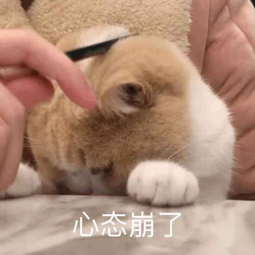 同样是拔智齿,为什么有的人只花了200,而我却花了2000