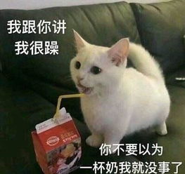 对象打游戏不回消息怎么办用这些表情包怼他