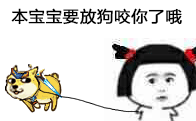 doge表情包下载下载a5素材