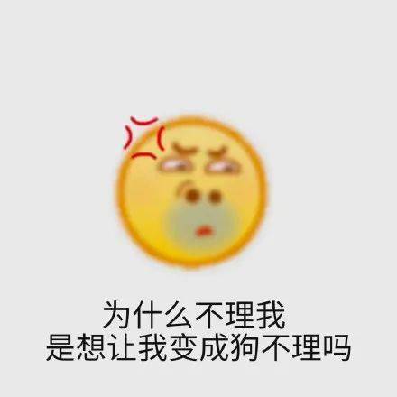 抖音最新套路表情包