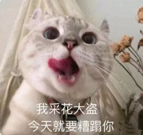偷吃表情包别逼我动手,我真的顶不住了