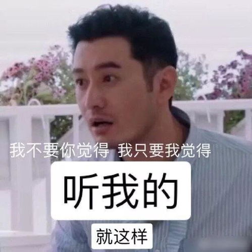 听不了实话表情包