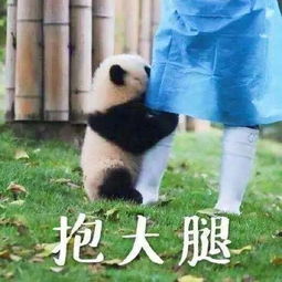 王者荣耀腾讯新闻王者召集令,答题赢好礼
