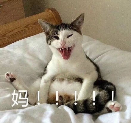鱼总表情包
