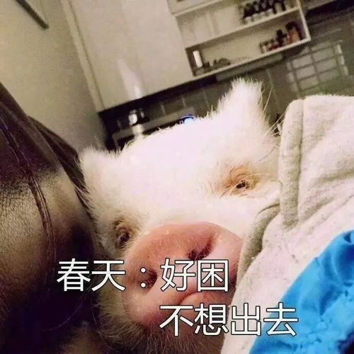 没错,这就是我每天不想出去的理由