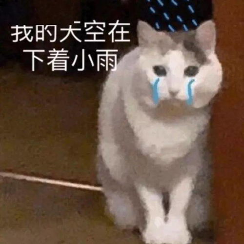 表情包我希望你过得好