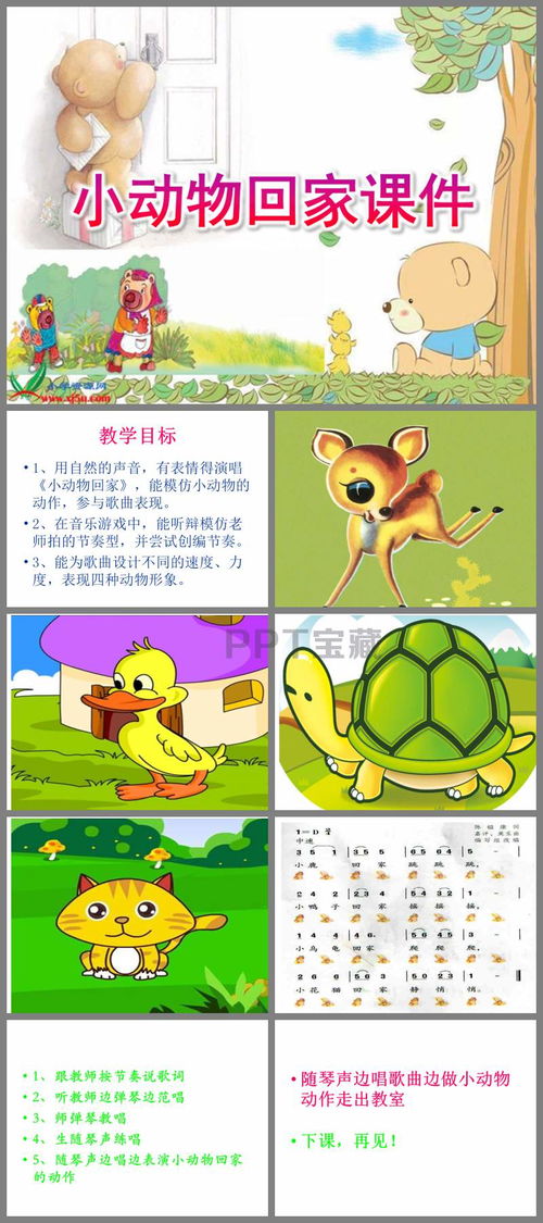 小动物回家课件ppt下载
