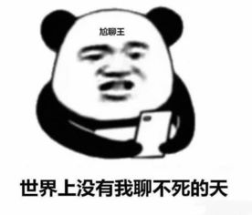 聊天遇到尬聊王,用表情包怼他,不想理笨蛋,你懂这个意思吧