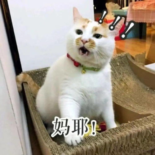 官宣美好的时光汕尾篇本周六浙江卫视首播