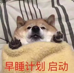 斗图表情包合集你的小可爱突然出现