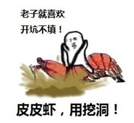 为什么你们都要骑皮皮虾你考虑过皮皮虾的感受吗