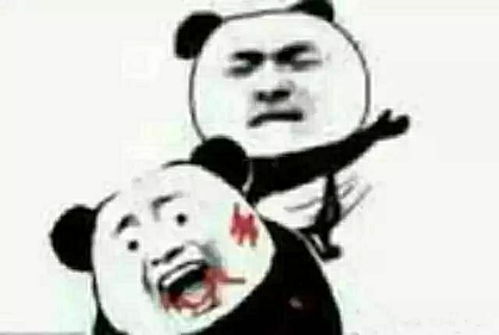 搞笑表情包今天我还是没有对象
