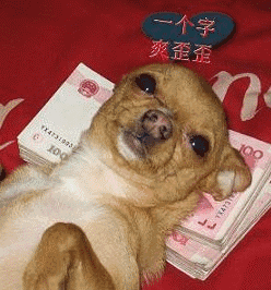 这几个笑话放群里,保证大家看了都笑得合不拢嘴