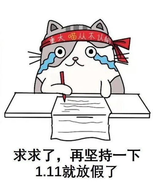 重大版猫咪表情包大公开